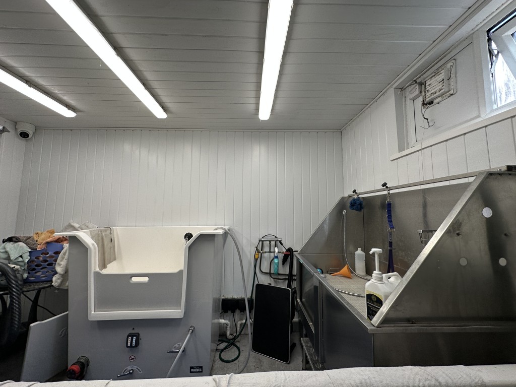 Lot: 79 - MIXED FREEHOLD RESIDENTIAL AND COMMERCIAL INVESTMENT - 55 Kings Road Commercial - Wash Room